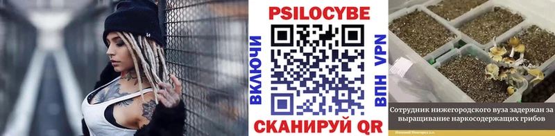 цены наркотик  сайты даркнета формула  Псилоцибиновые грибы GOLDEN TEACHER  Анива 